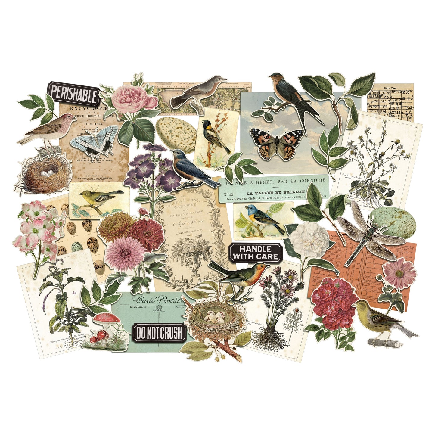 Layers - Organic - Ideaology - Tim Holtz