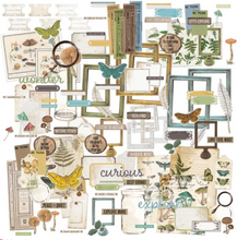Ephemera Bits - Nature Study - 49 and Market