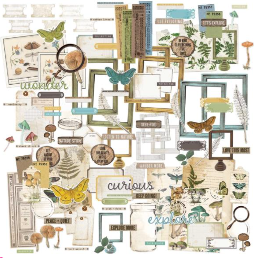 Ephemera Bits - Nature Study - 49 and Market