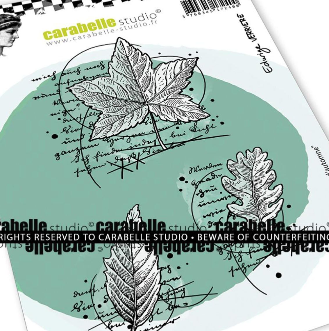 Stamp - Autumn Botany by Edwige Verrière - Carabelle Studio
