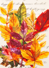 Leaf Embellishments - FALL SOLSTICE - Prima Marketing
