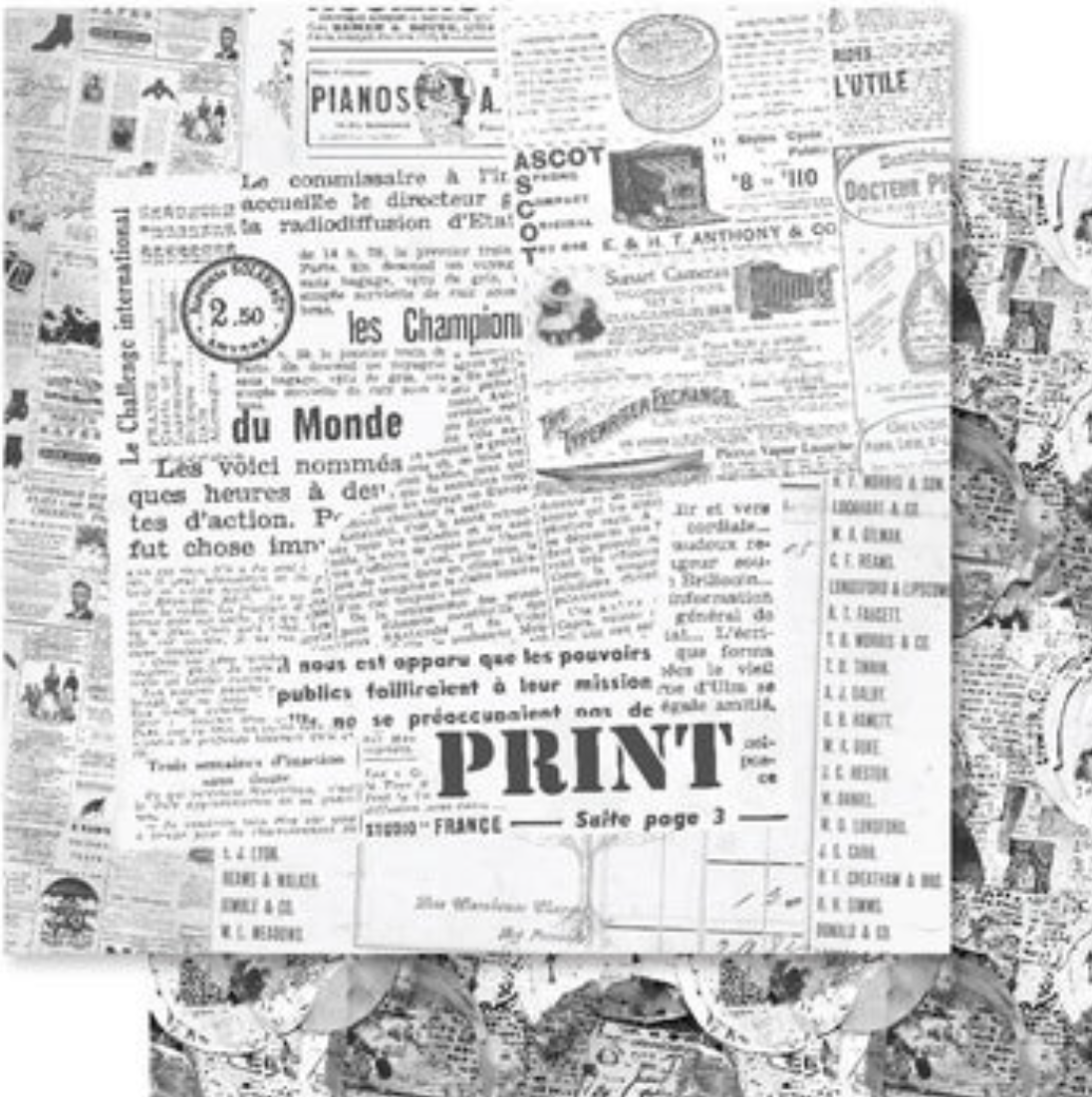 12 x 12 Inch - Fine Print - Double Sided Paper - Paper Rose