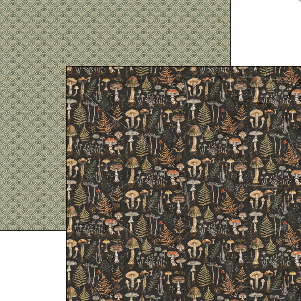 12x12 Patterns Pad - Cabinet of Curiosities - Double Sided Paper - 8/Pkg - Ciao Bella