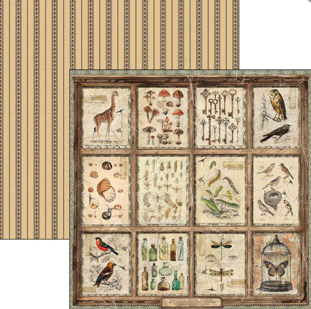 12x12 Patterns Pad - Cabinet of Curiosities - Double Sided Paper - 8/Pkg - Ciao Bella