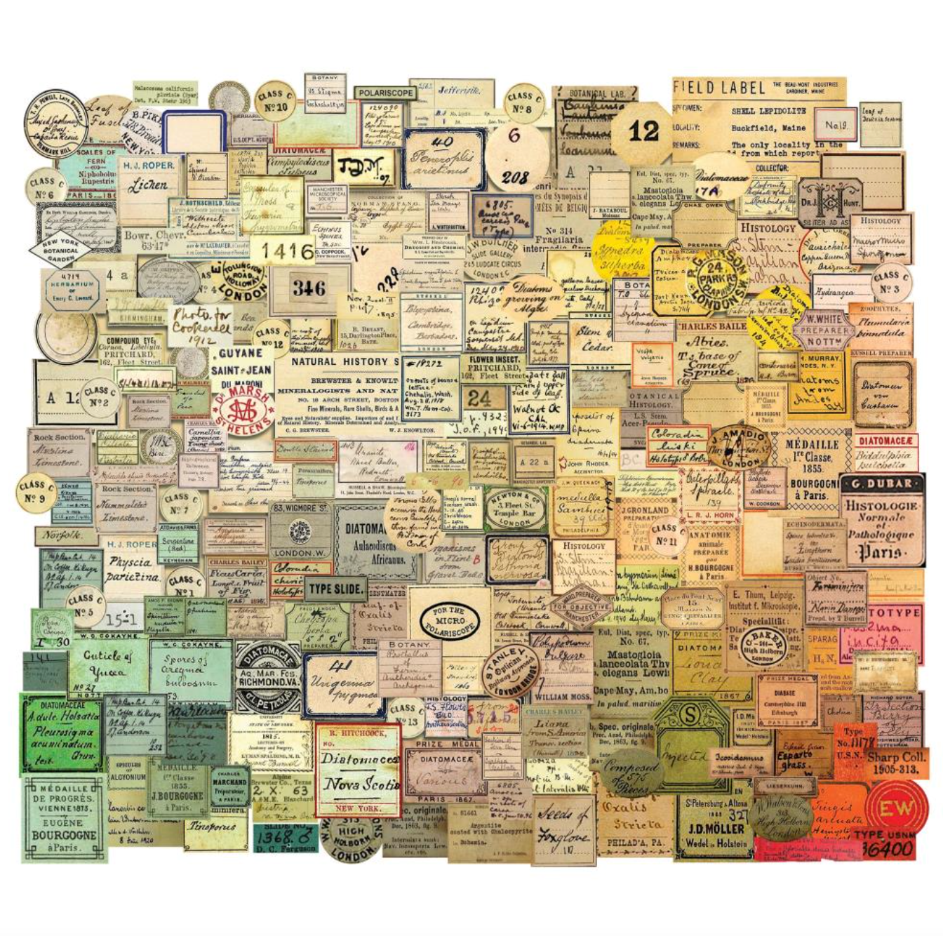 Curator - Ephemera Snippets 233/Pkg - Ideaology - Tim Holtz