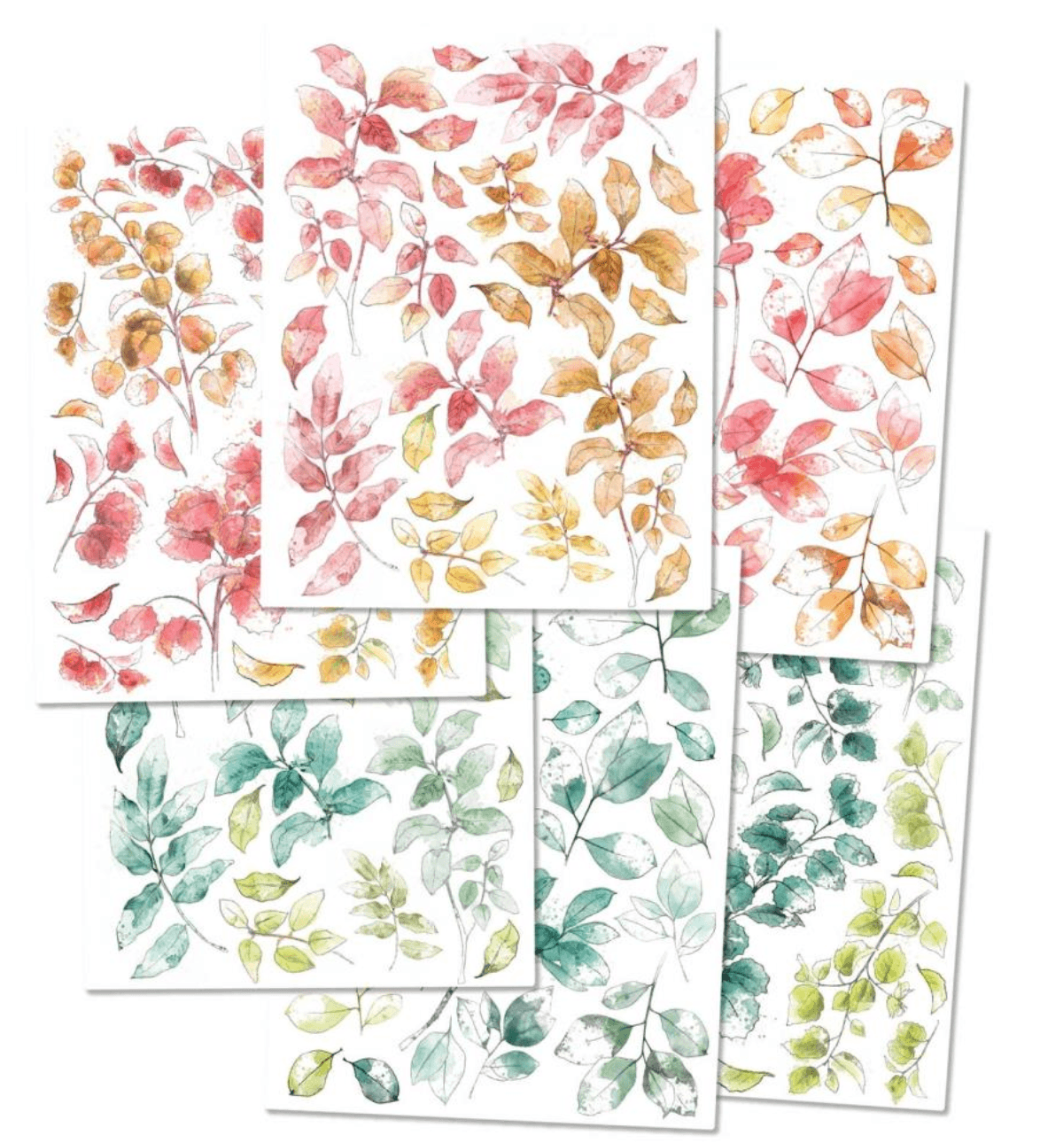 49 and Market - Spectrum Sherbet Leaves Rub-On Transfer Set - Messy Papercrafts
