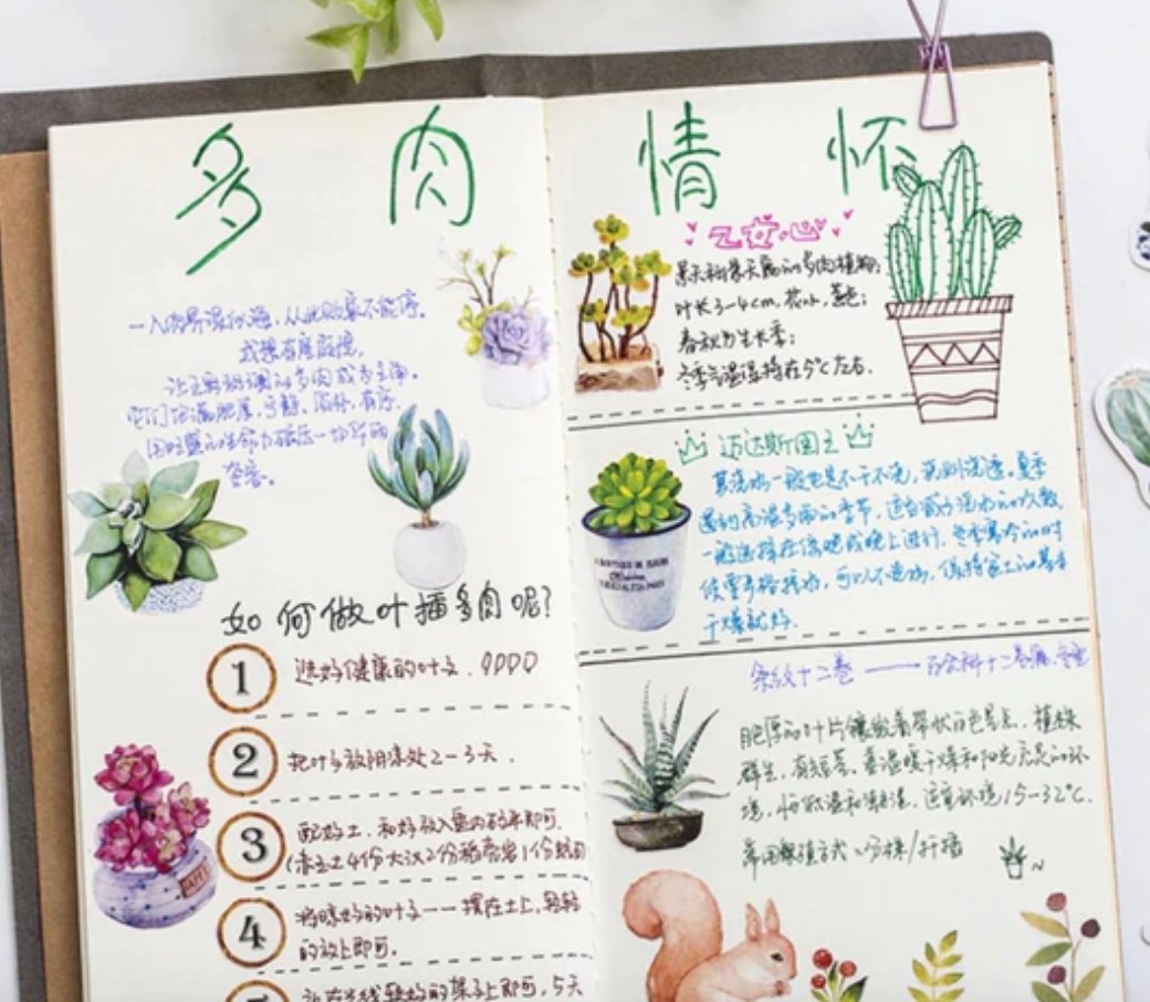 50 Piece Succulents Delight Planner Stickers Washi Tape Shop