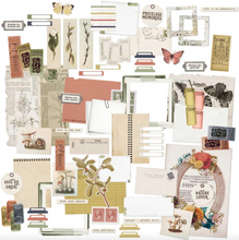 Ephemera Bits - Curators Meadow - 49 And Market