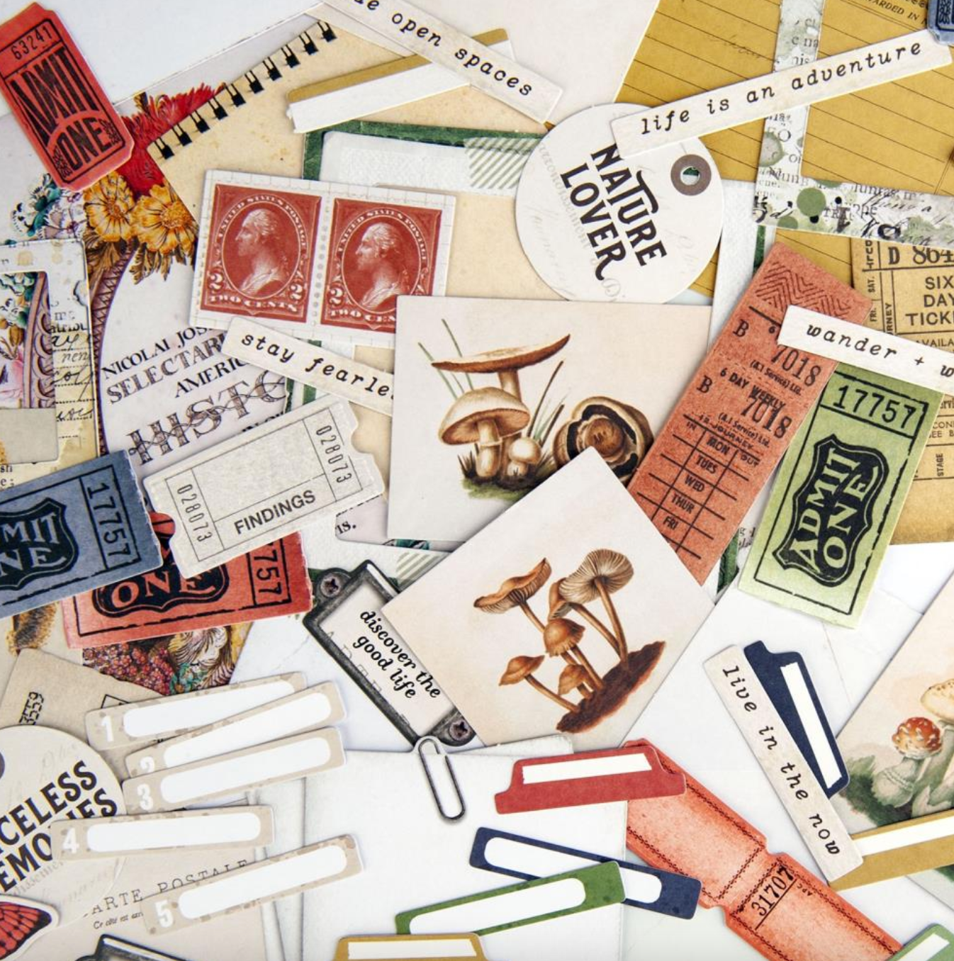 Ephemera Bits - Curators Meadow - 49 And Market