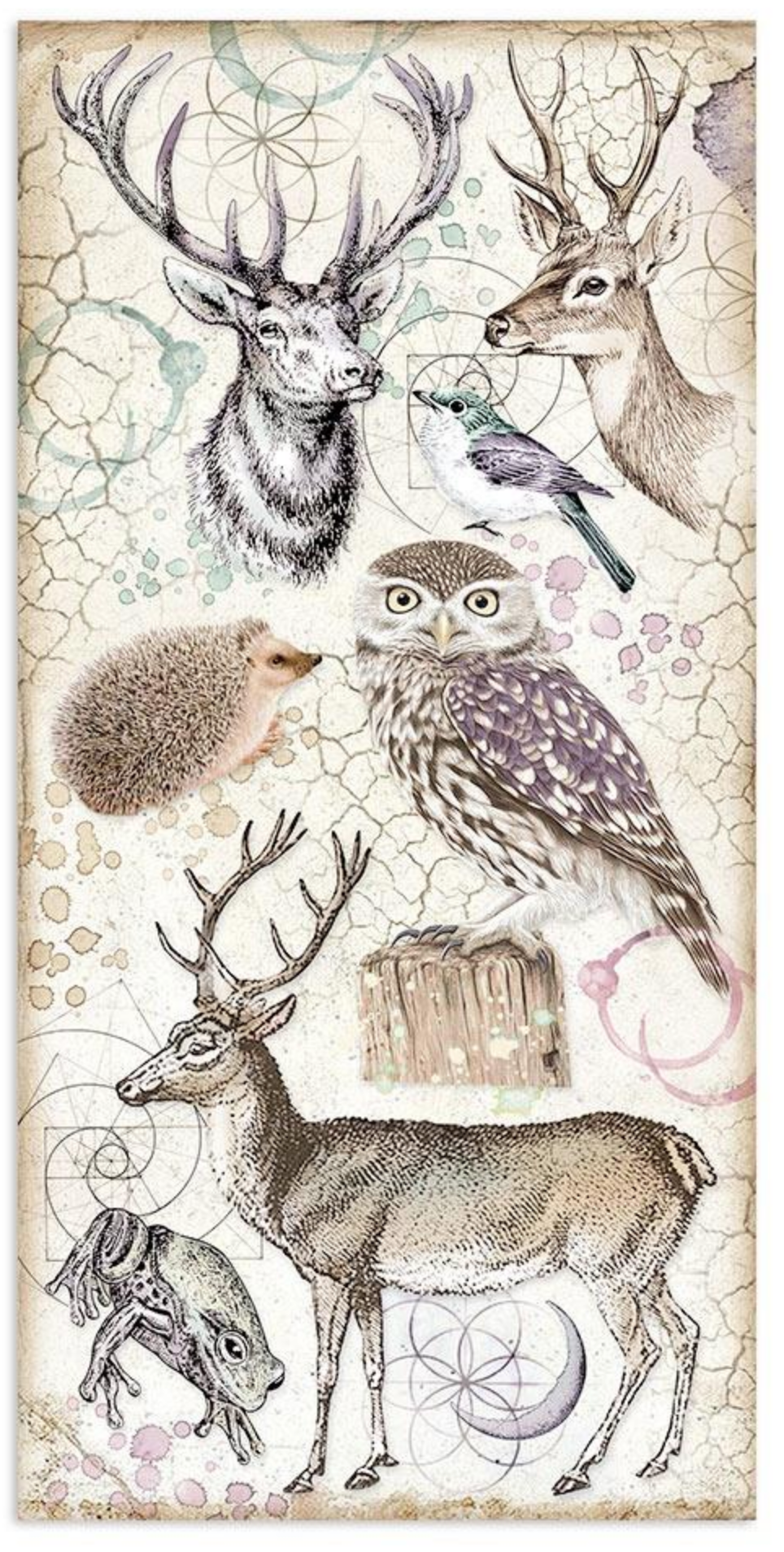 Cosmos Infinity - Collectables - 6x12 Inch - Stamperia