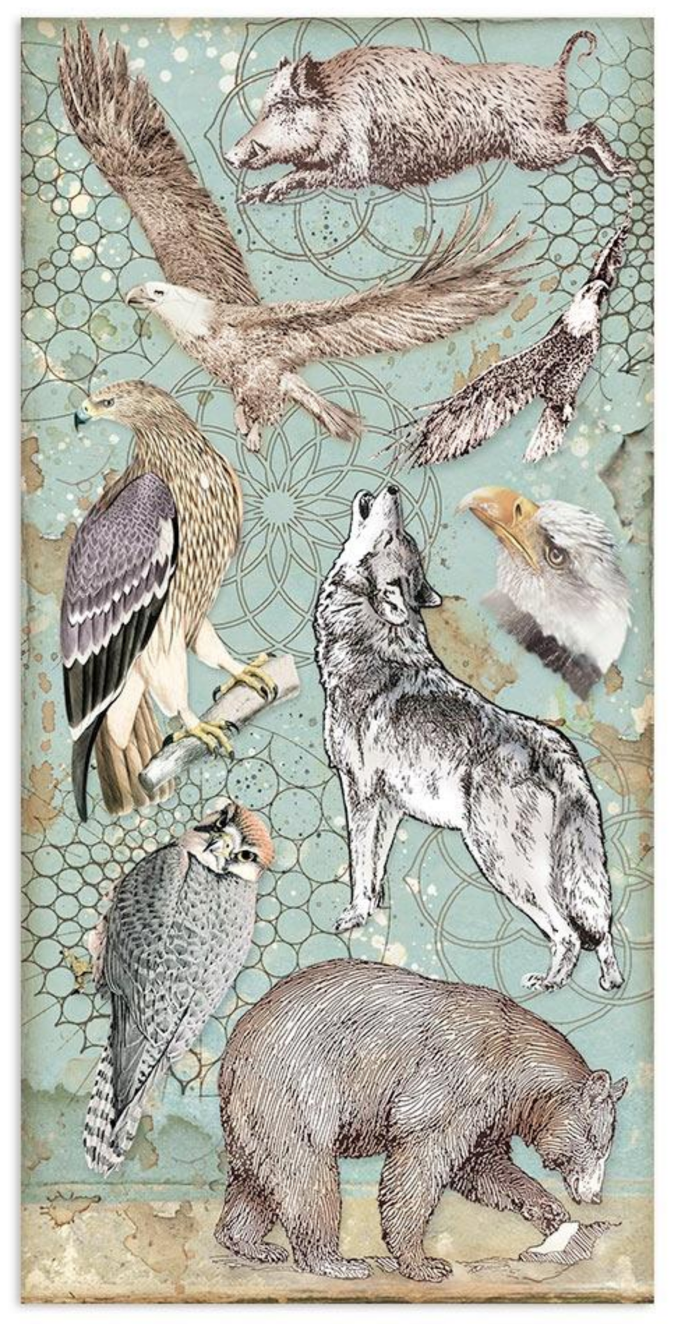 Cosmos Infinity - Collectables - 6x12 Inch - Stamperia