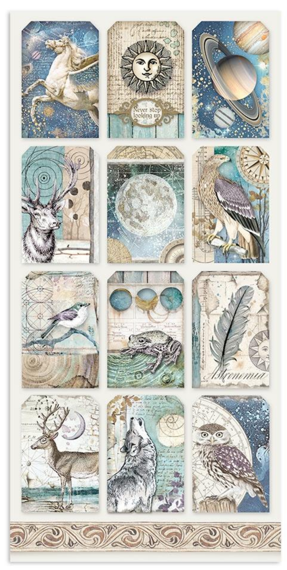 Cosmos Infinity - Collectables - 6x12 Inch - Stamperia