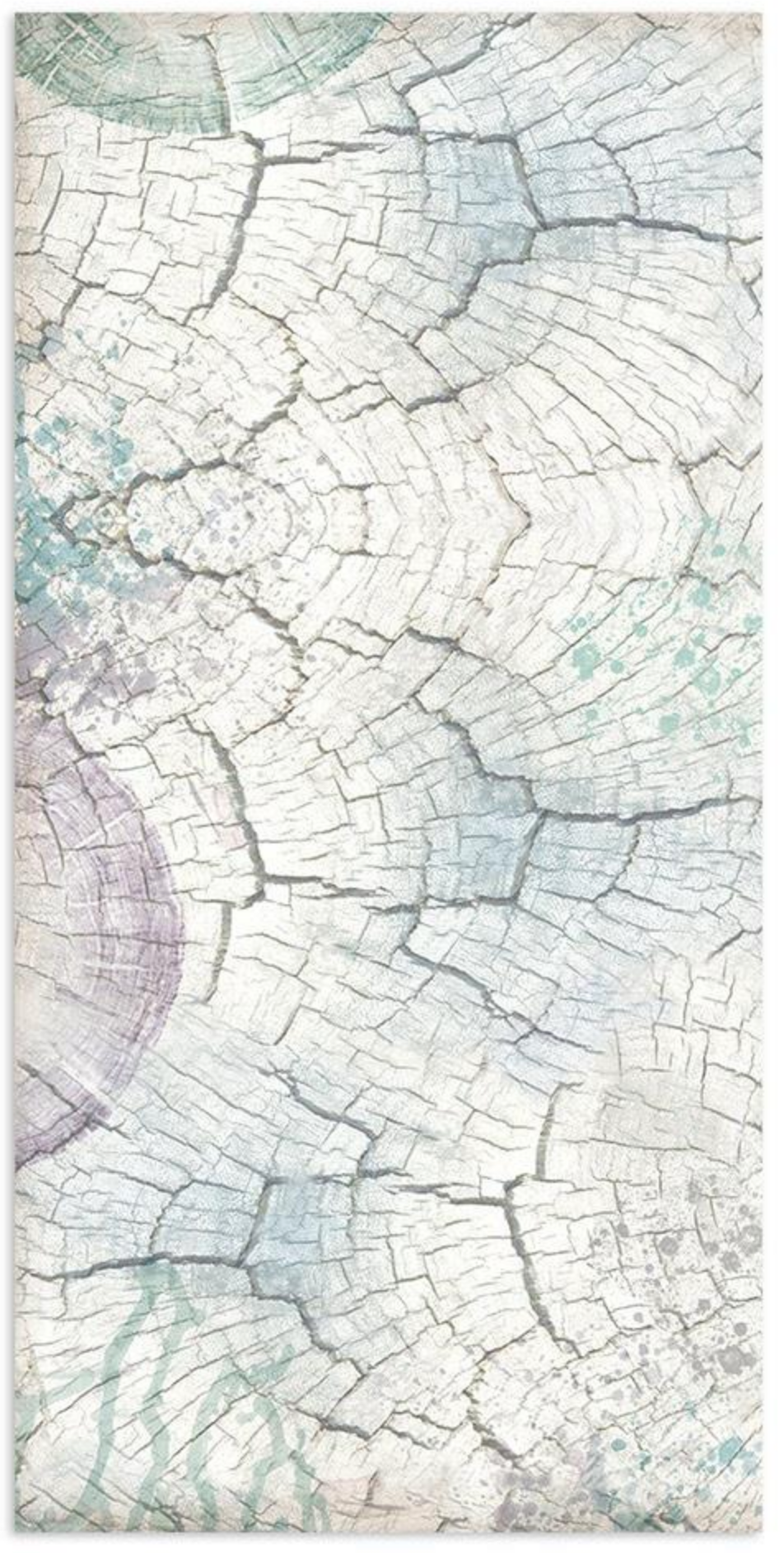 Cosmos Infinity - Collectables - 6x12 Inch - Stamperia