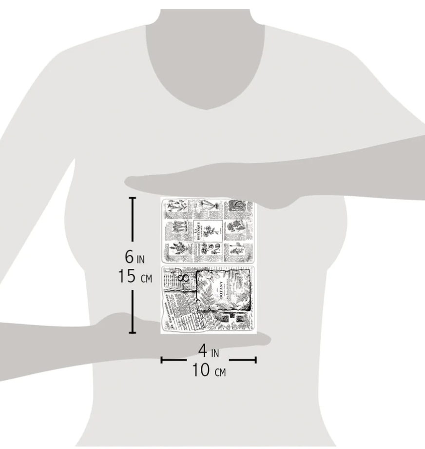 Botanical Horticulture - Clear Stamp Set - 4X6 - Ciao Bella