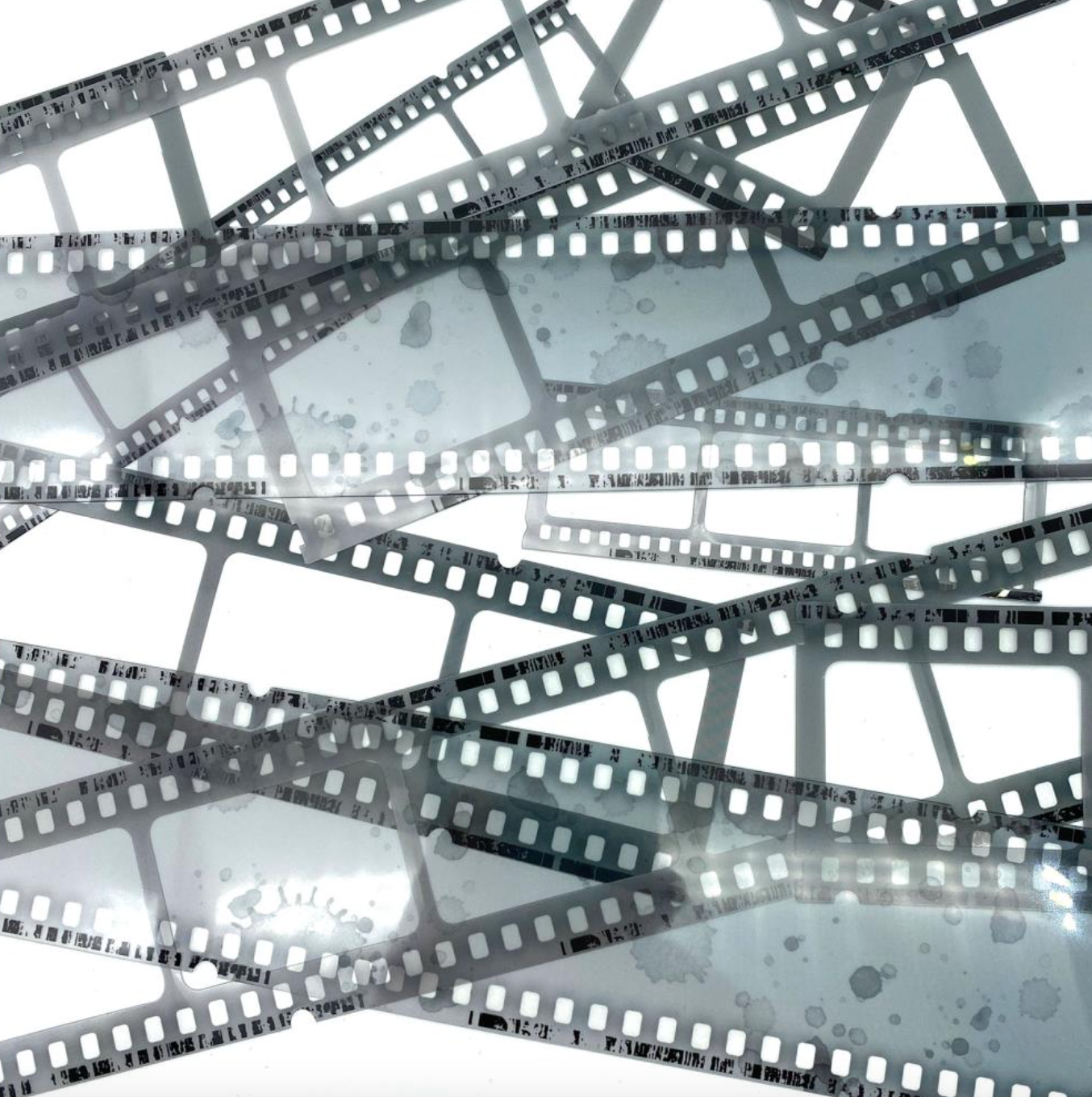 Essential Filmstrips - Eucalyptus - 49 And Market