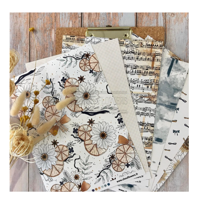 A4 Paper Set - 10 Sheets - Storybook - Chou and Flowers