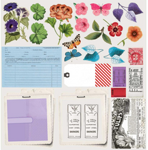 12x12 Inch - Spectrum Gardenia Classics Collection Pack - 49 and Market