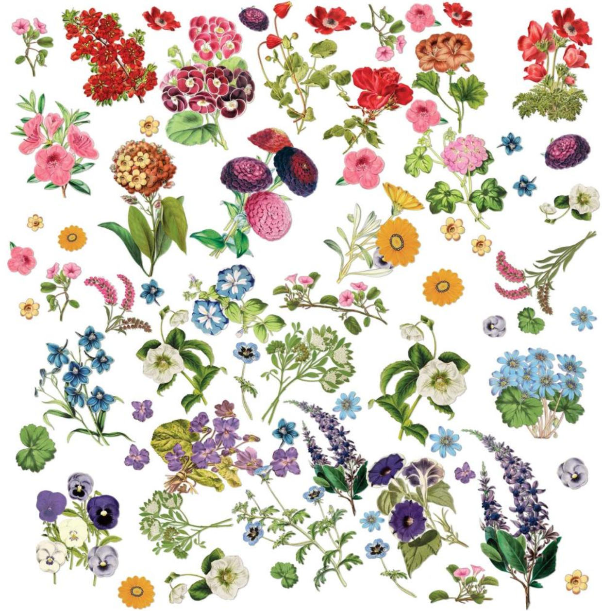 Floral Laser Cut Elements - Spectrum Gardenia - 49 and Market