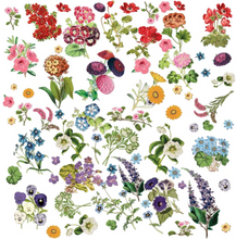 Floral Laser Cut Elements - Spectrum Gardenia - 49 and Market