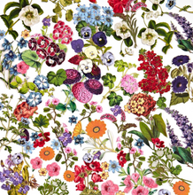 Floral Laser Cut Elements - Spectrum Gardenia - 49 and Market