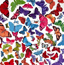 Butterfly Laser Cut Elements - Spectrum Gardenia - 49 and Market