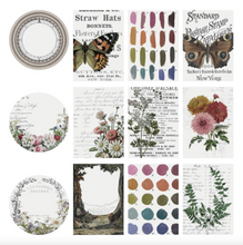 Transparant Layers - Ephemera - Tim Holtz - Ideaology