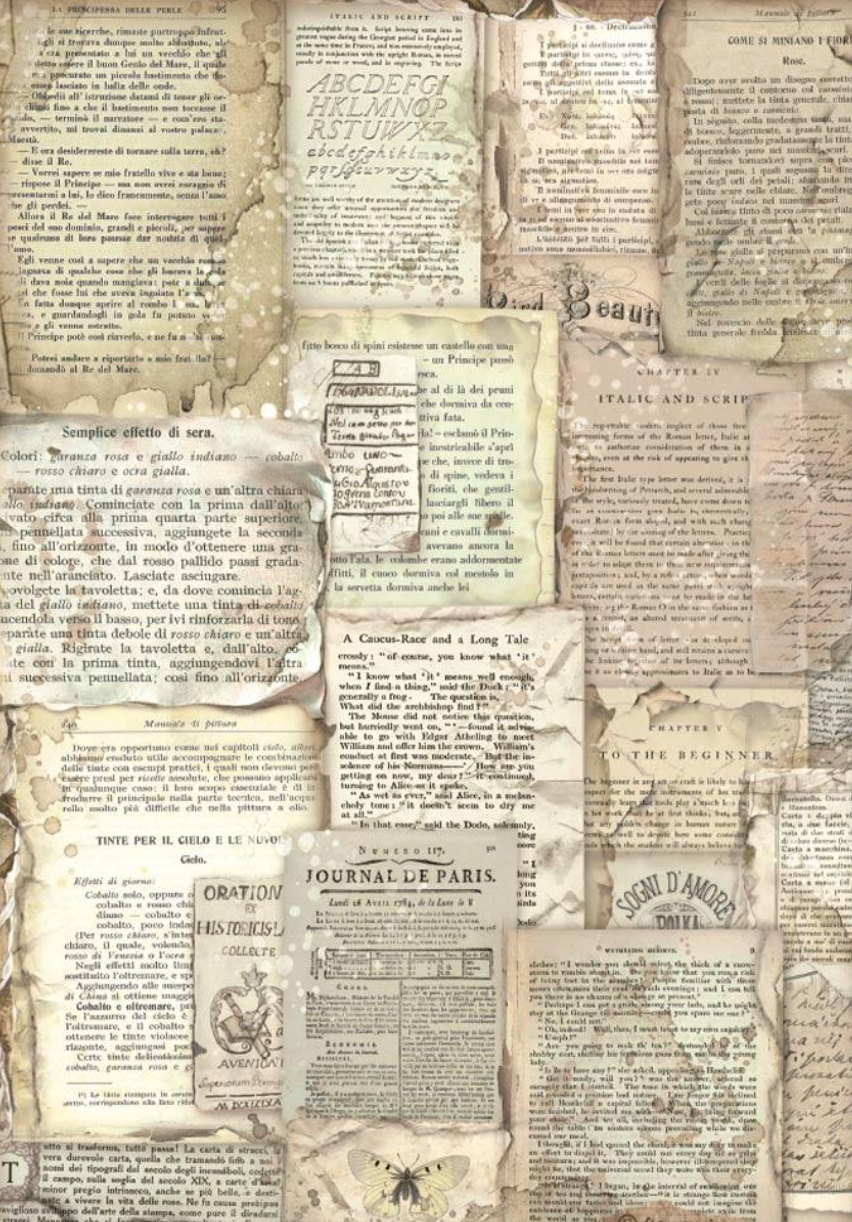 Vintage Library - Book Pages - Rice Paper - Stamperia