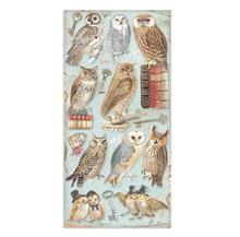 Collectables - Vintage Library - 6x12 Inch - 10 Sheets - Stamperia