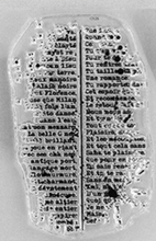 Mini Spotted Text - Clear Stamp - Florilèges Design