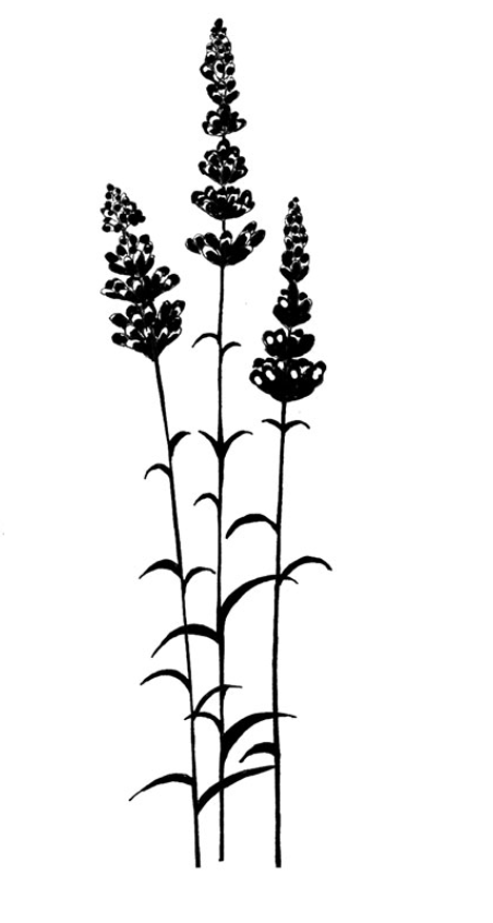 Lavinia Stamps - Lavender