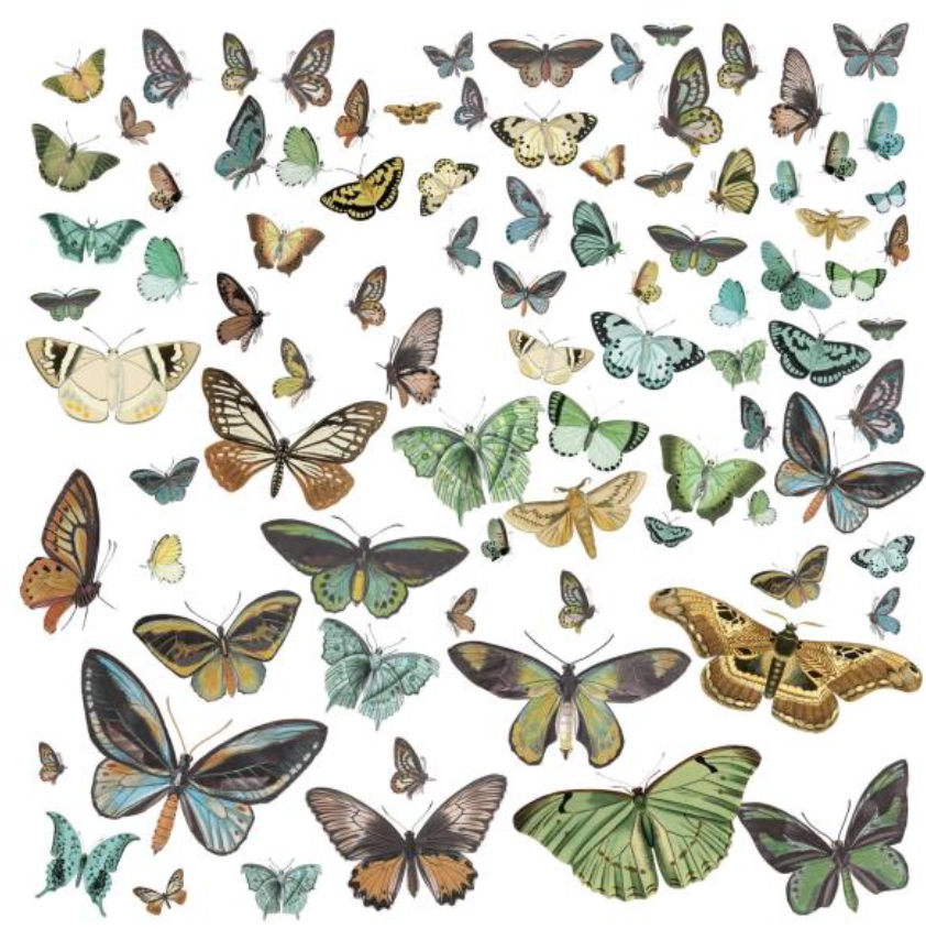 Laser Cut Outs - Wings - Nature Study - 49 and Market