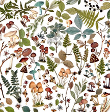 Laser Cut Outs - Mushrooms & Foliage - Nature Study - 49 and Market