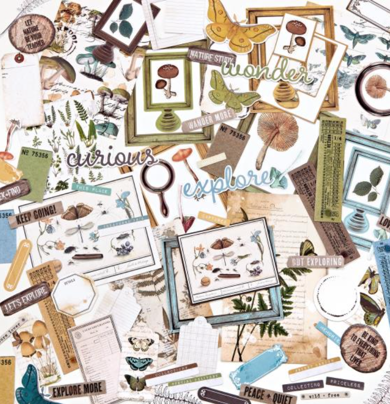 Ephemera Bits - Nature Study - 49 and Market