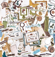 Ephemera Bits - Nature Study - 49 and Market