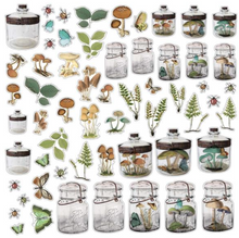 Acetate Shapes - Specimen - Nature Study - 49 and Market