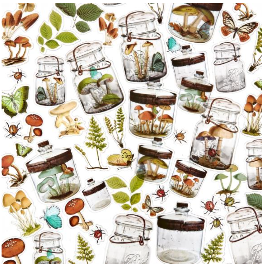 Acetate Shapes - Specimen - Nature Study - 49 and Market