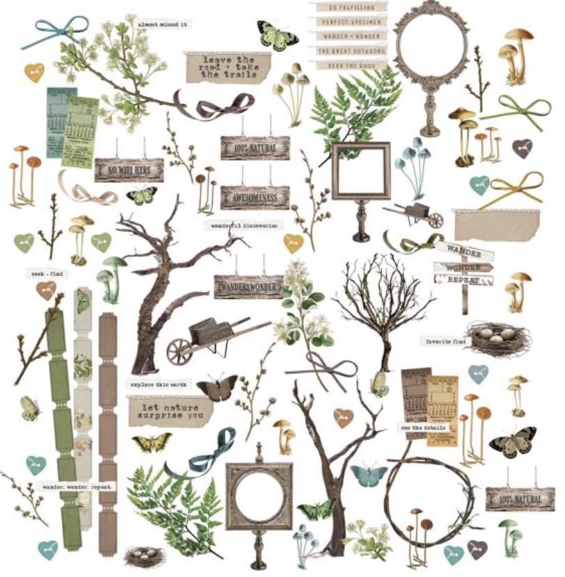 Laser Cut Outs - Elements - Nature Study - 49 and Market