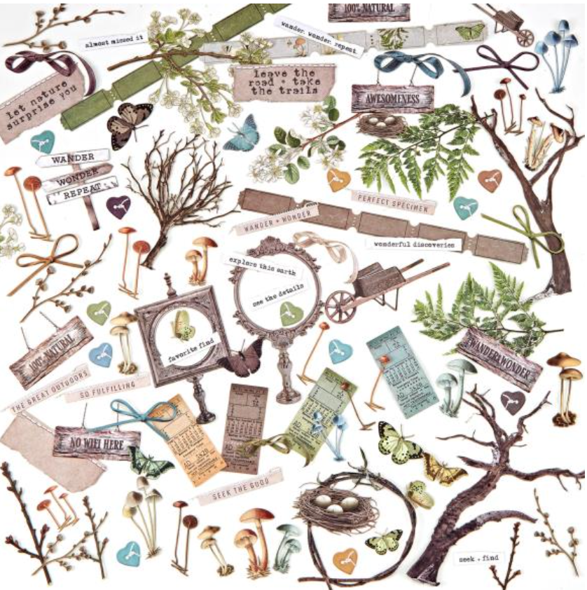 Laser Cut Outs - Elements - Nature Study - 49 and Market