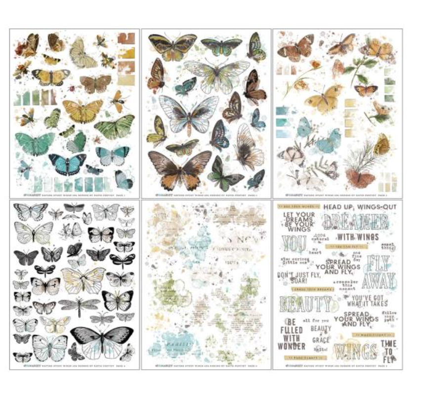 Rub-Ons - Wings - 6x8 - 6/Sheets - Nature Study - 49 and Market