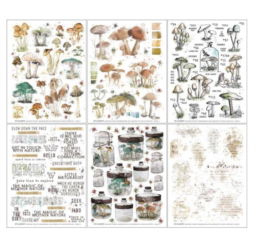 Rub-Ons - Mushroom - 6x8 - 6/Sheets - Nature Study - 49 and Market