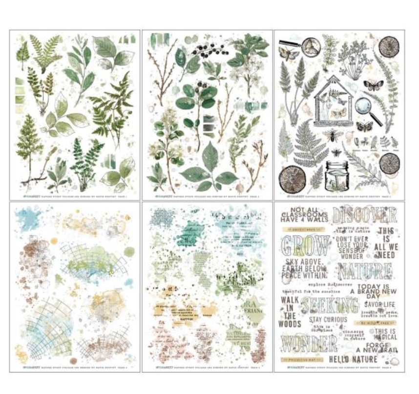 Rub-Ons - Foliage - 6x8 - 6/Sheets - Nature Study - 49 and Market