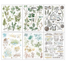 Rub-Ons - Foliage - 6x8 - 6/Sheets - Nature Study - 49 and Market
