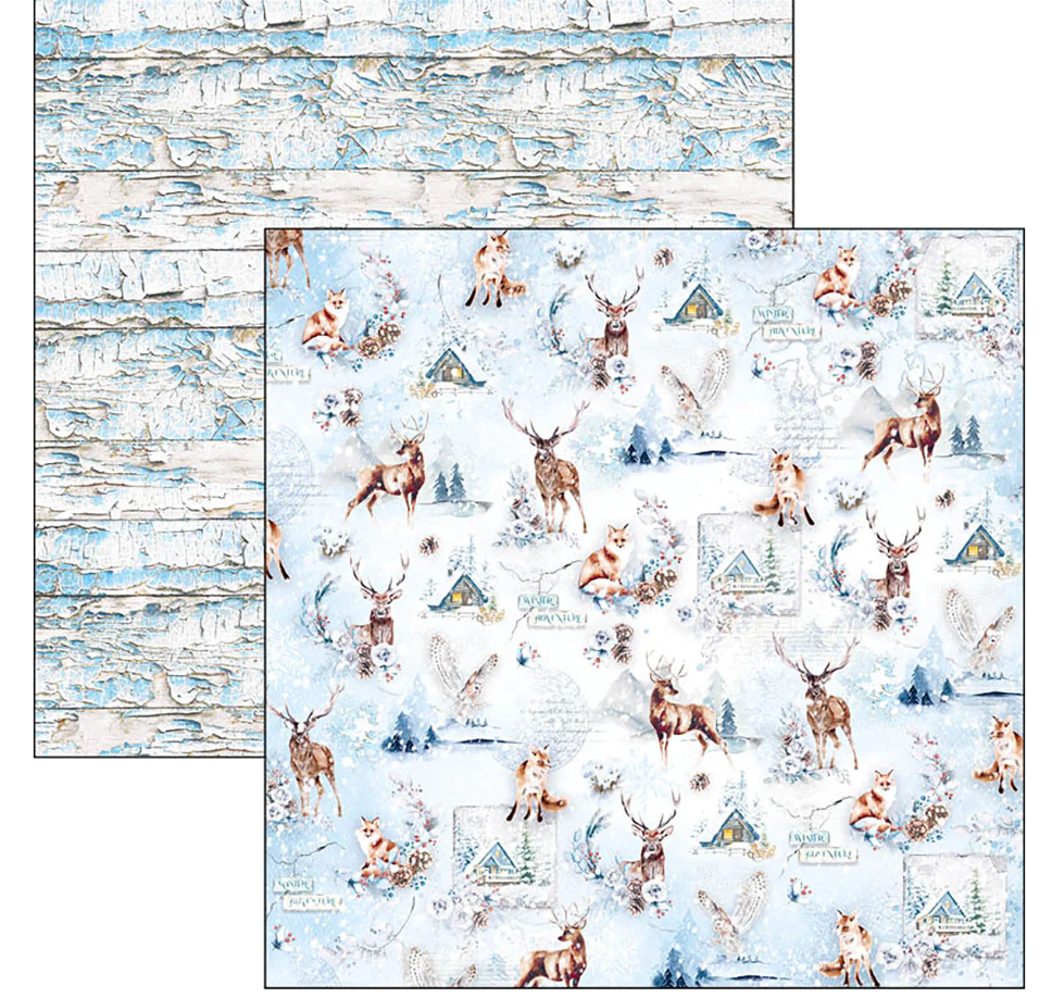 12x12 - Patterns Pad 8/Pkg - Winter Journey - Ciao Bella