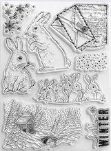 6x8 - Clear Stamp Set - Artic Adventure - Ciao Bella