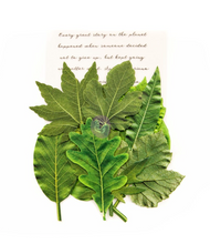 Leaf Embellishments - RAINER LEAVES - Prima Marketing