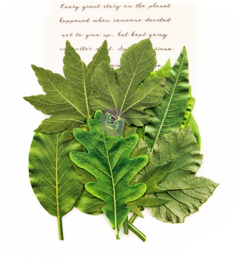 Leaf Embellishments - RAINER LEAVES - Prima Marketing