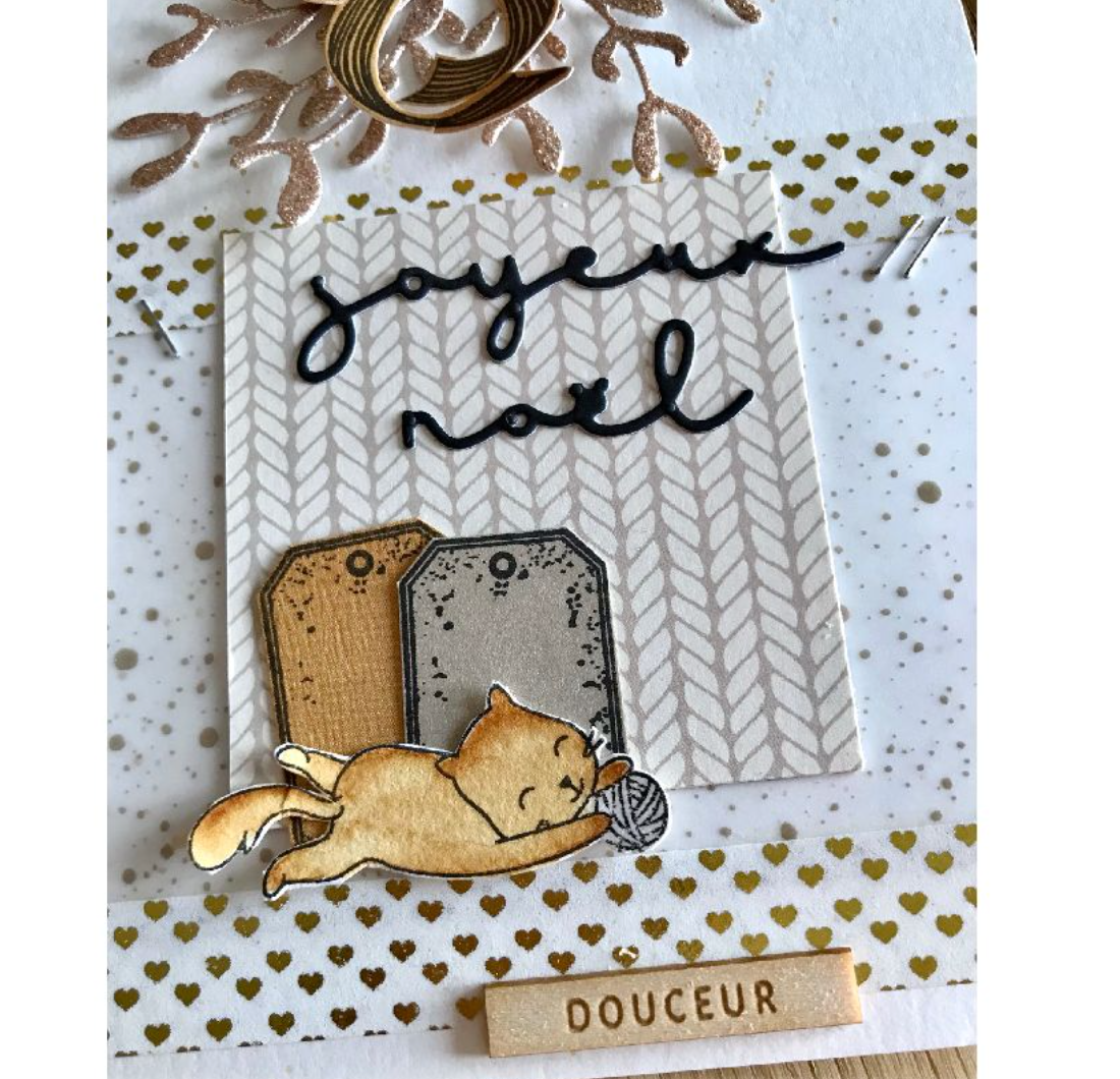 Cute Kittens - Clear Stamps - 22 stamps - Florilèges Design