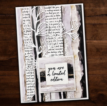 6x6 Inch - One Of A Kind - Double Sided Paper - Paper Rose