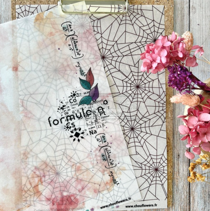 Paper - CABINET DE CURIOSITES - Chou and Flowers