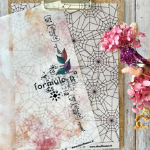 Paper - CABINET DE CURIOSITES - Chou and Flowers